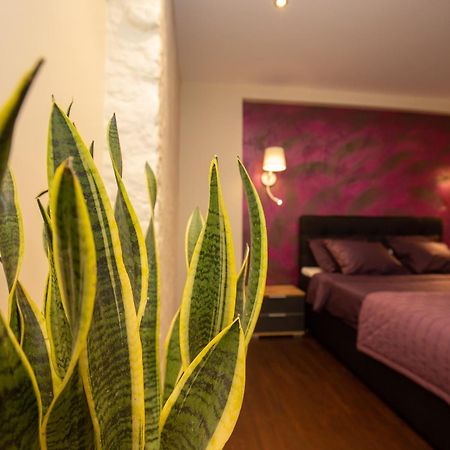 P54 Apartment Paide Εξωτερικό φωτογραφία